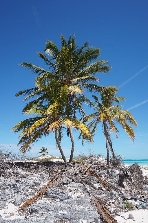 Cayo Rosario