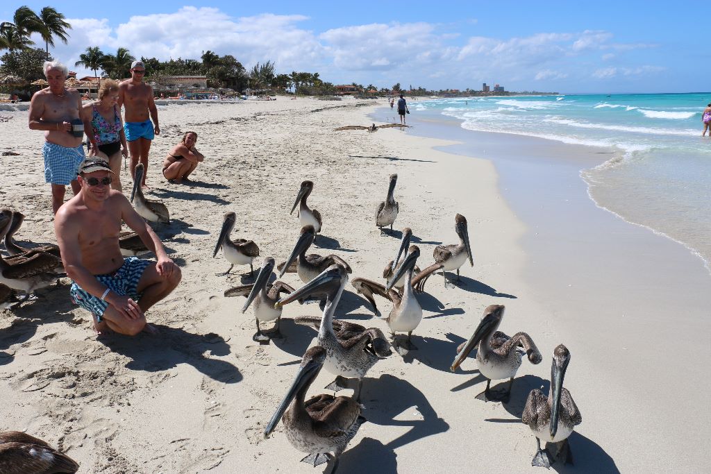 Varadero